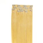 Remy Clip in extensions 20" 200g