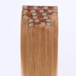 Remy Clip in extensions 20" 70g