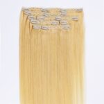 Remy Clip in extensions 24" 120g